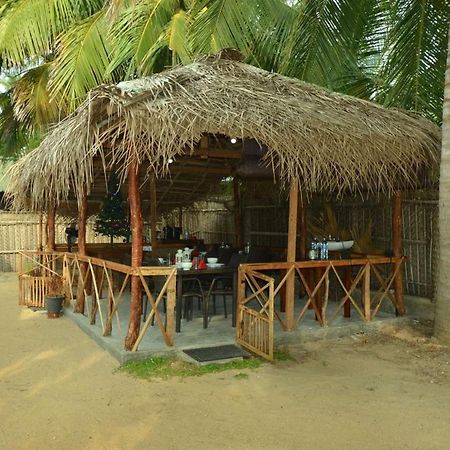 칼피티야 The Araliya Retreat B&B 외부 사진